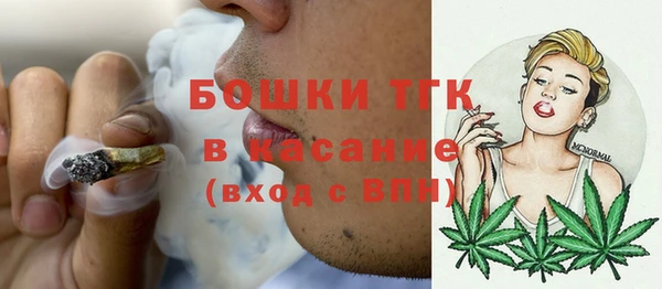 ECSTASY Горняк