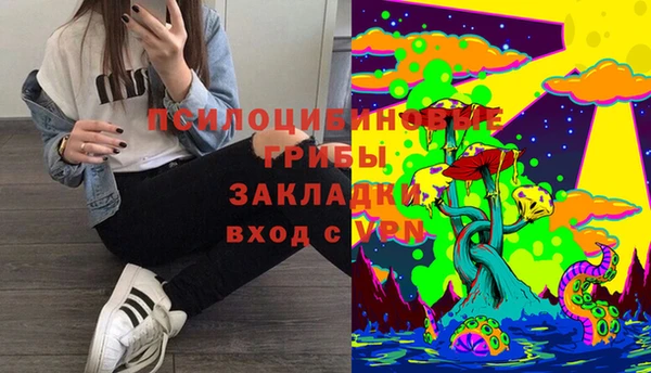 ALPHA-PVP Нязепетровск