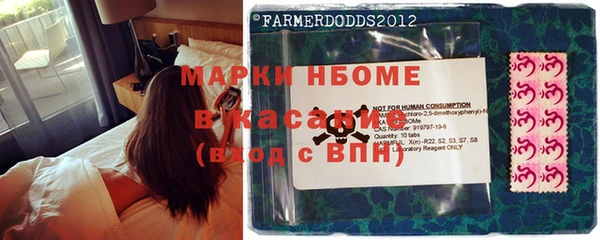 ГАЛЛЮЦИНОГЕННЫЕ ГРИБЫ Няндома