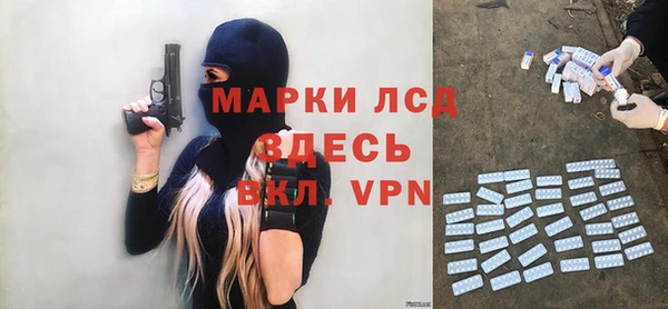 ГАЛЛЮЦИНОГЕННЫЕ ГРИБЫ Няндома